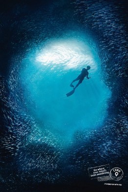 Go to Cebu where your mind's been wandering