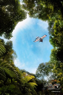 Go to Davao where your mind's been wandering