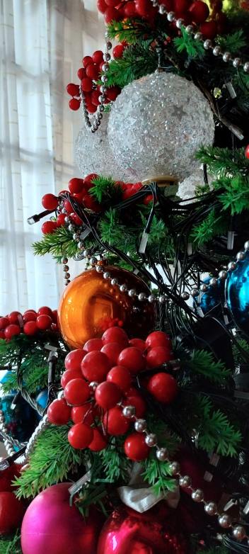 Sample Shots - Galaxy A23 5G - 20221122_143525-min Sample Shots - Galaxy A23 5G - 20221122_143525-min