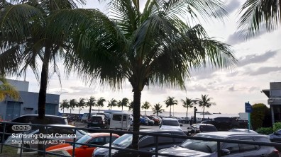 Sample Shots - Galaxy A23 5G - 20221203_160115-min Sample Shots - Galaxy A23 5G - 20221203_160115-min