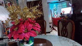 Sample Shots - Galaxy A23 5G - 20221204_200341-min Sample Shots - Galaxy A23 5G - 20221204_200341-min