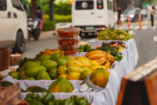 Homegrown Social Enterprise Benguet Collective Producers fruits and vegetables