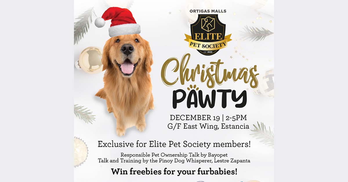 Christmas Pawty Ortigas Malls Elite Pet Society Christmas Pawty